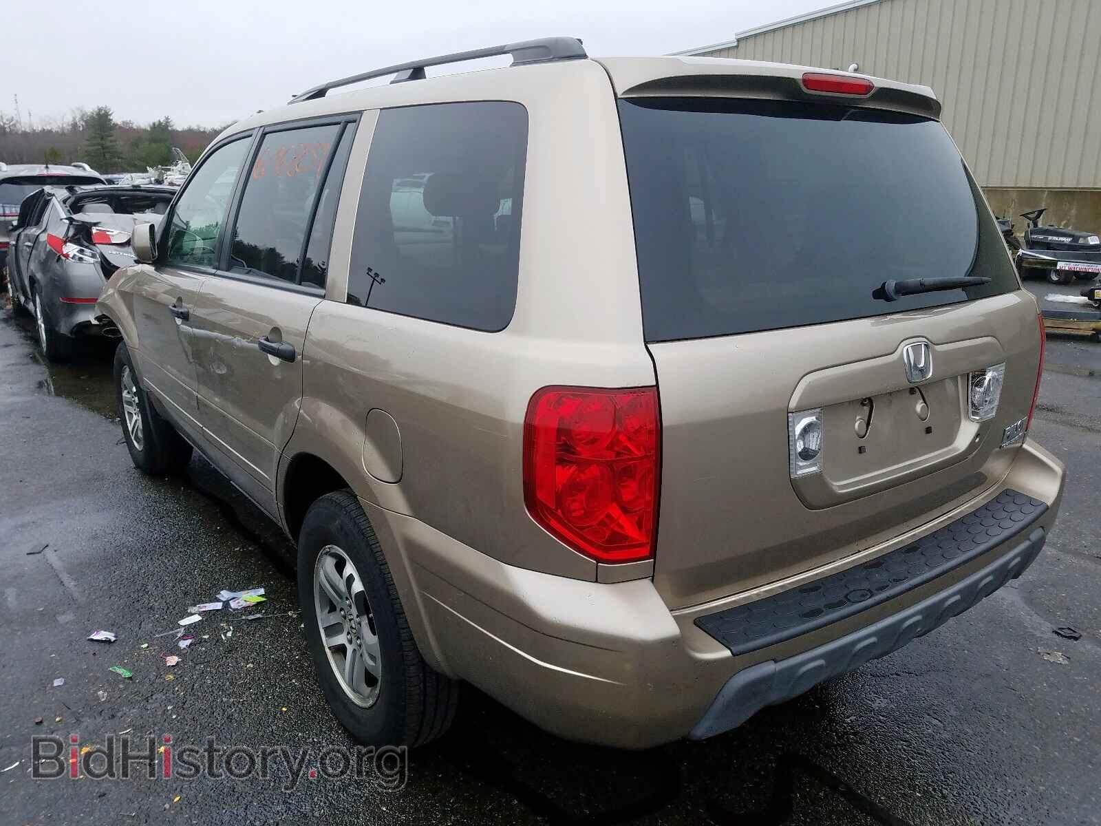 2005 HONDA PILOT - VIN: 5FNYF18455B055714 - Фото 3