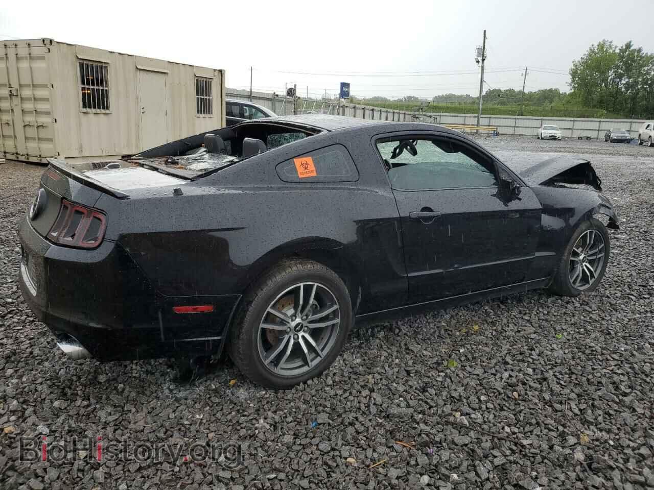 2013 FORD ALL Models - VIN: 1ZVBP8AM6D5280047 - Фото 3