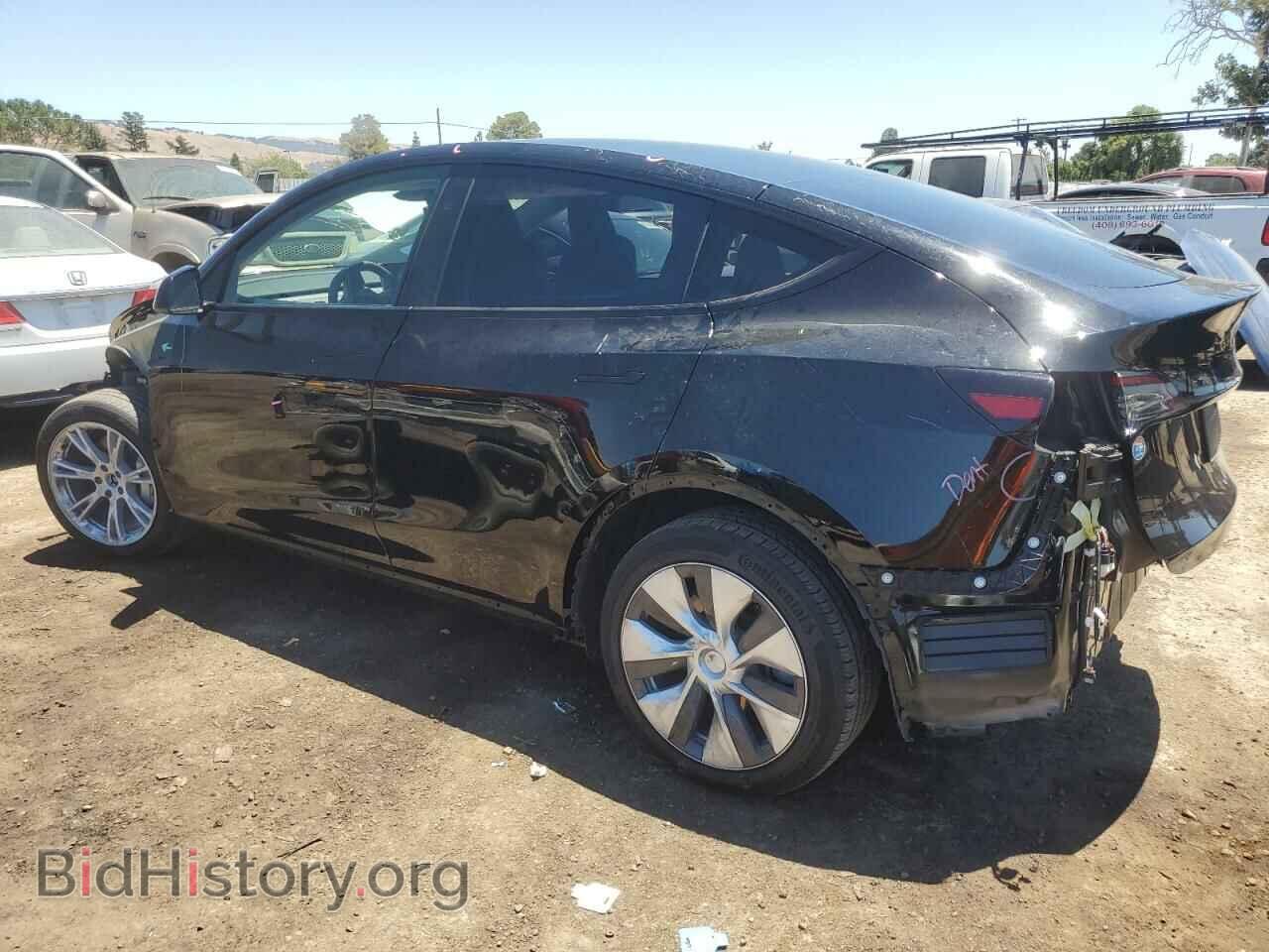 2024 TESLA MODEL Y - VIN: 7SAYGDEE0RF987775 - Фото 2