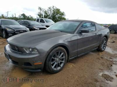 2011 Ford ALL MODELS Mustang, charcoal — VIN 1ZVBP8AM0B5107637, Copart