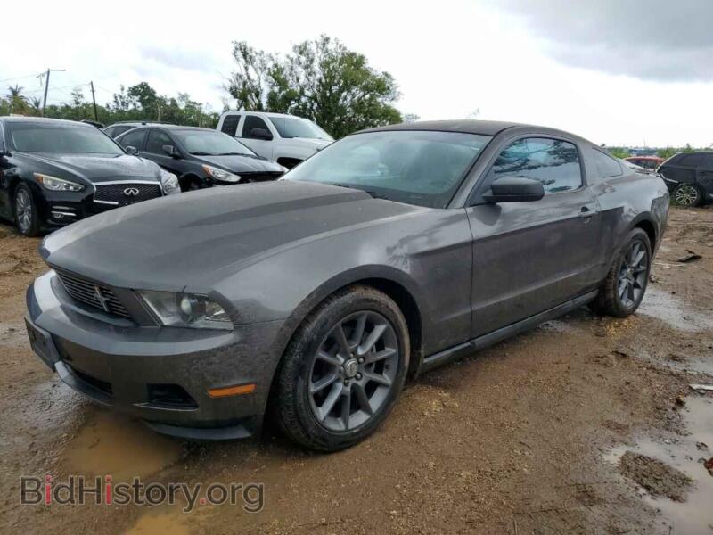 2011 Ford ALL MODELS Mustang (VIN 1ZVBP8AM0B5107637) — фото 1 из 12, Copart, повреждение: затопление