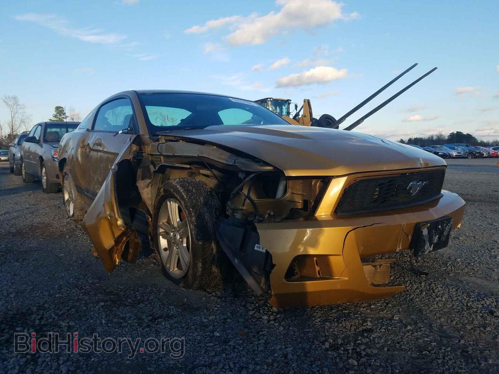 Фотография 1ZVBP8AN4A5128272 - FORD MUSTANG 2010