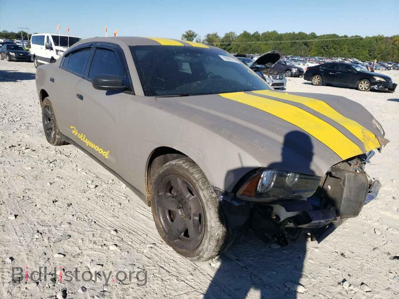 Photo 2C3CDXAT9EH348017 - DODGE CHARGER 2014