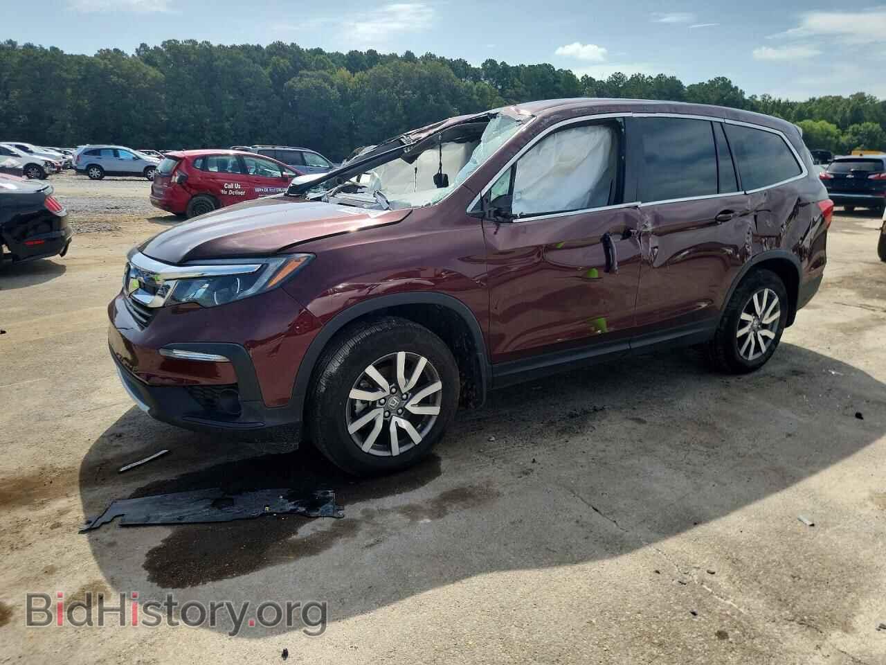 Фотография 5FNYF5H59MB043130 - HONDA PILOT 2021