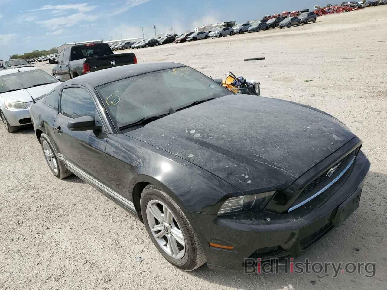 Photo 1ZVBP8AM8D5245011 - FORD MUSTANG 2013