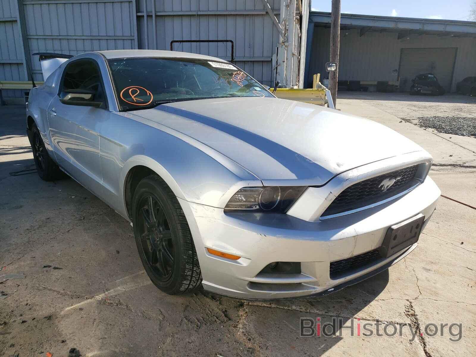 Photo 1ZVBP8AM6E5247373 - FORD MUSTANG 2014