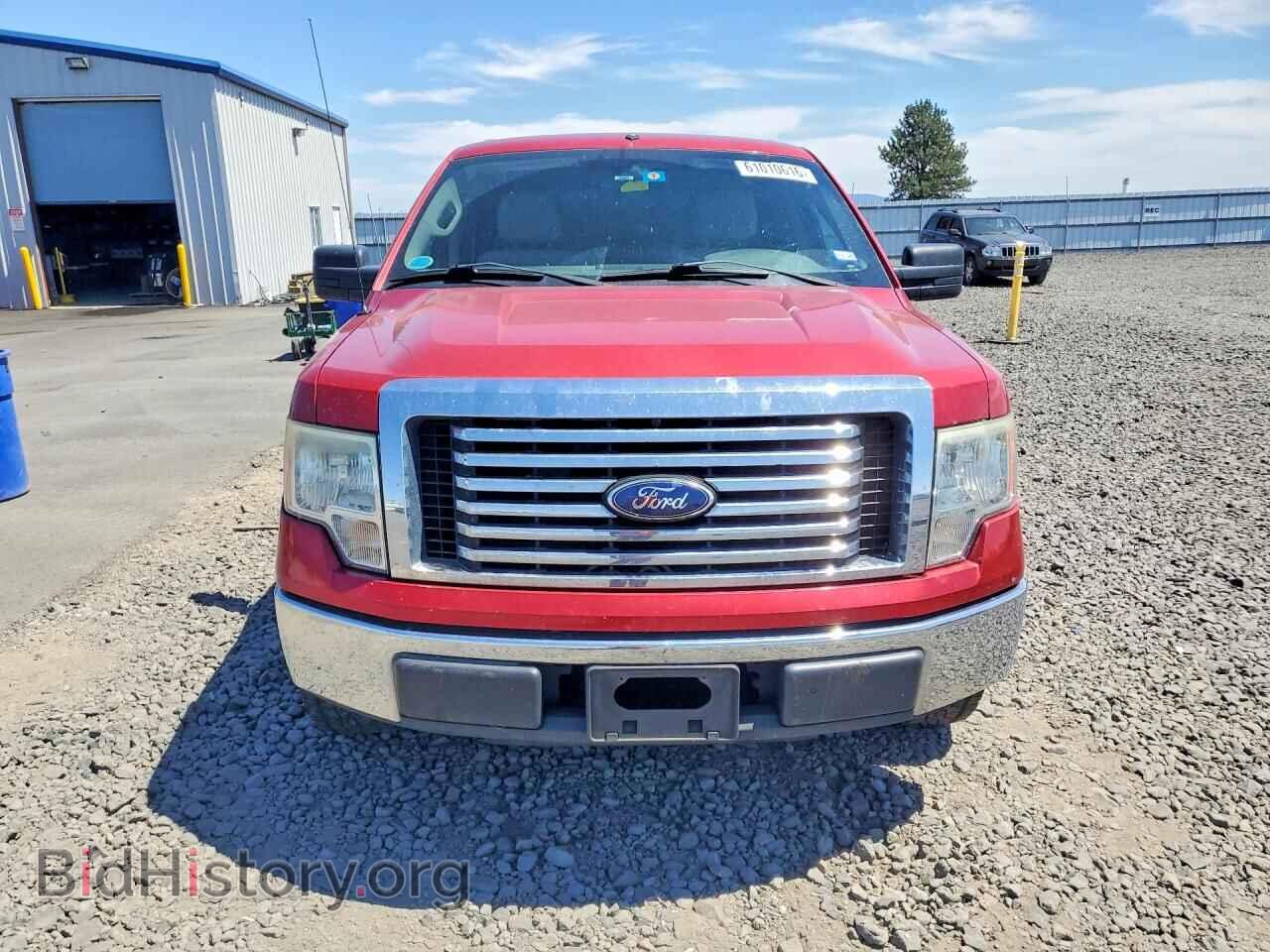 2010 FORD F150 - VIN: 1FTEW1C86AFA71584 - Фото 5