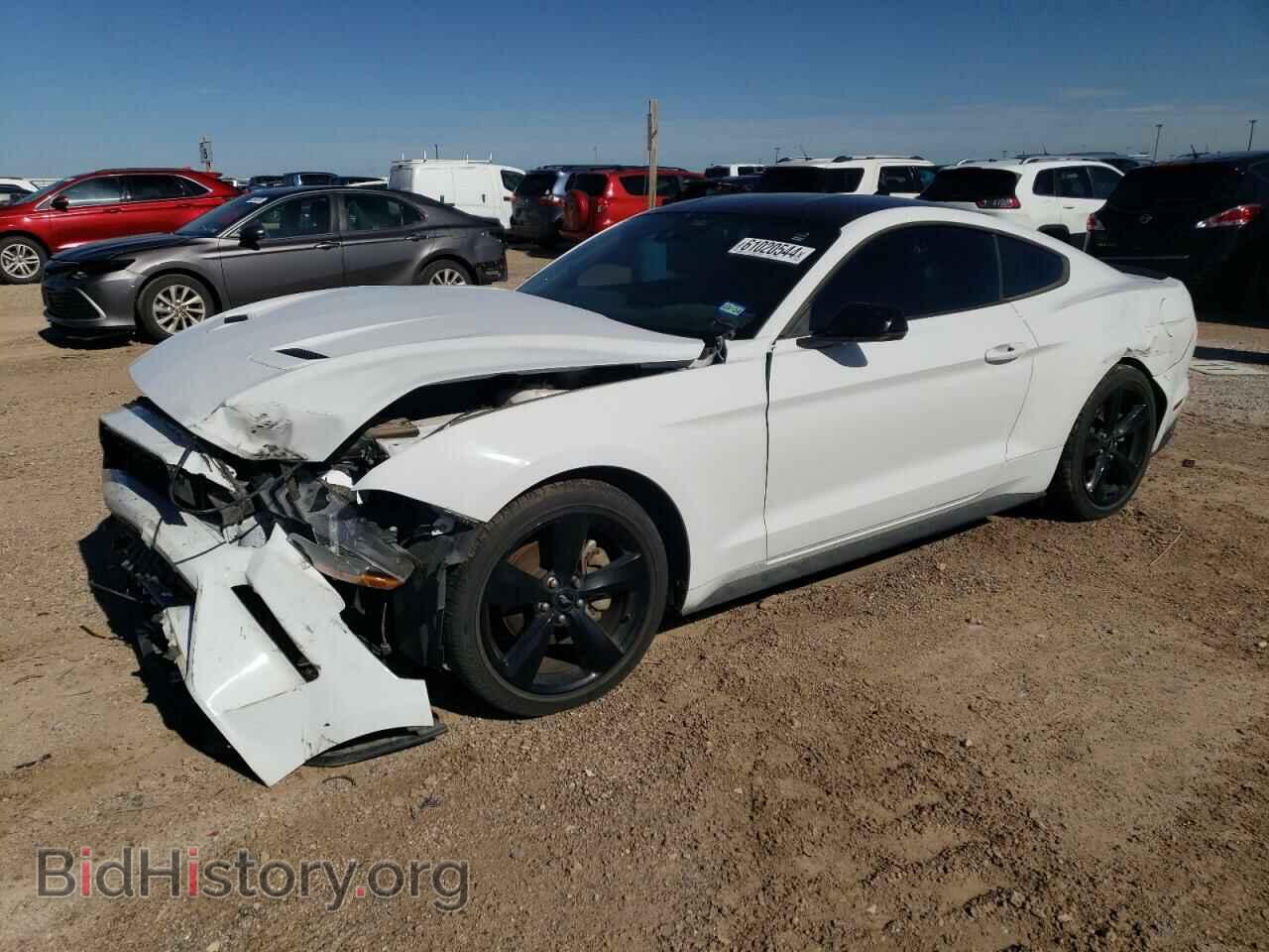Photo 1FA6P8TH2M5113050 - FORD ALL Models 2021