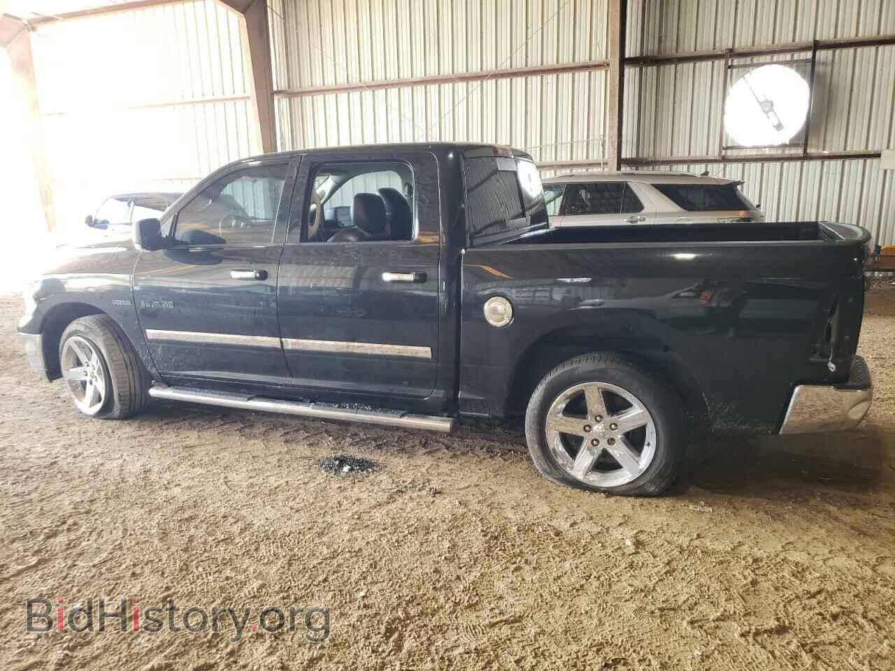 2009 DODGE All Models - VIN: 1D3HB13T59J511520 - Photo 2