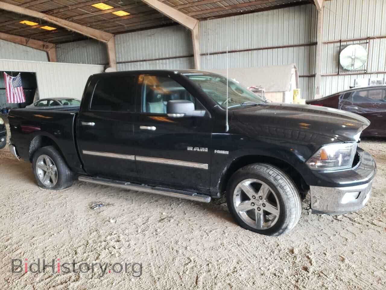 2009 DODGE All Models - VIN: 1D3HB13T59J511520 - Photo 4