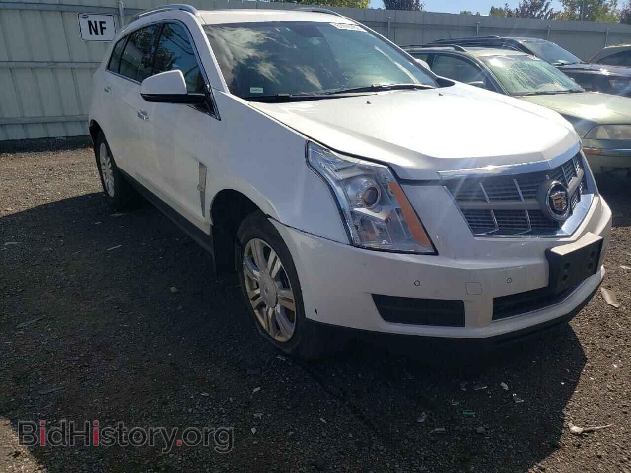 Фотография 3GYFNDE31CS523945 - CADILLAC SRX 2012