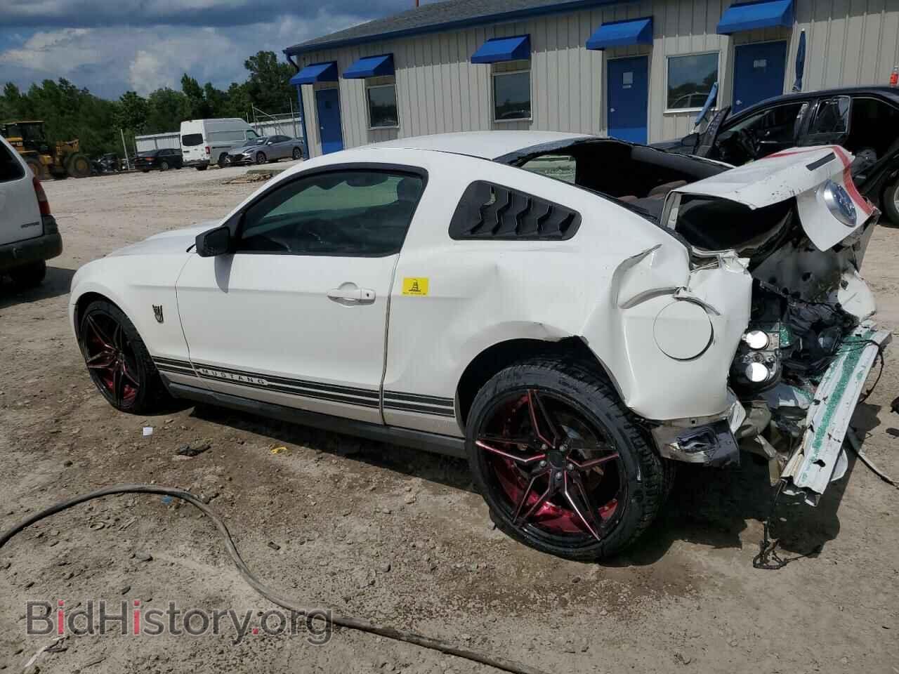 2010 FORD ALL Models - VIN: 1ZVBP8AN1A5158085 - Фото 2
