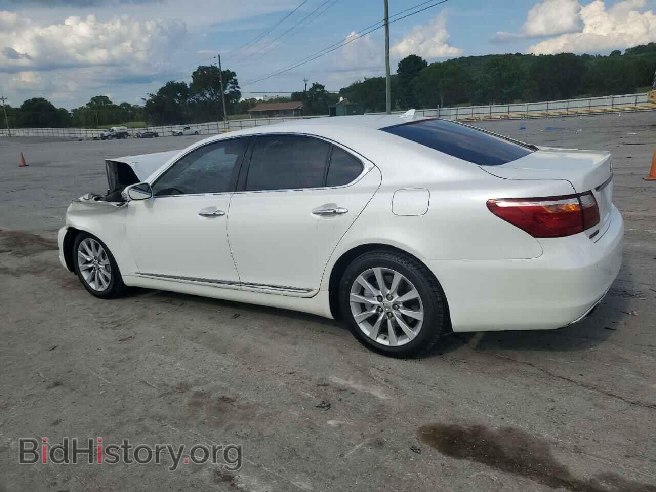 2011 LEXUS LS460 - VIN: JTHCL5EF7B5012276 - Фото 2