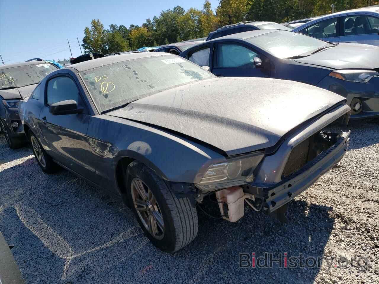 Photo 1ZVBP8AM7D5266948 - FORD MUSTANG 2013