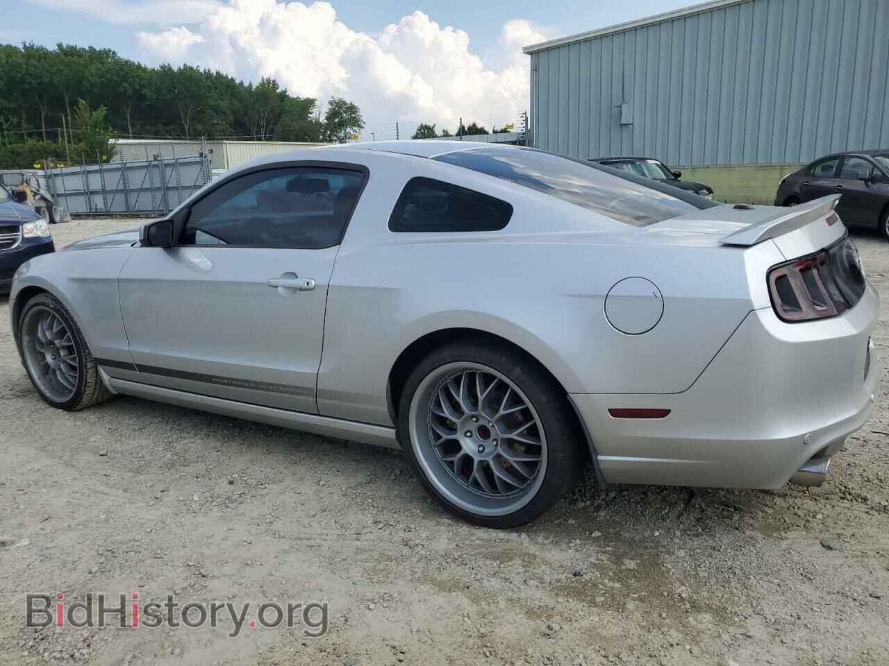 2013 FORD ALL Models - VIN: 1ZVBP8AM9D5231263 - Фото 2