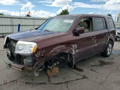2013 Honda PILOT EXL, бордовый — VIN 5FNYF4H58DB049785, Copart
