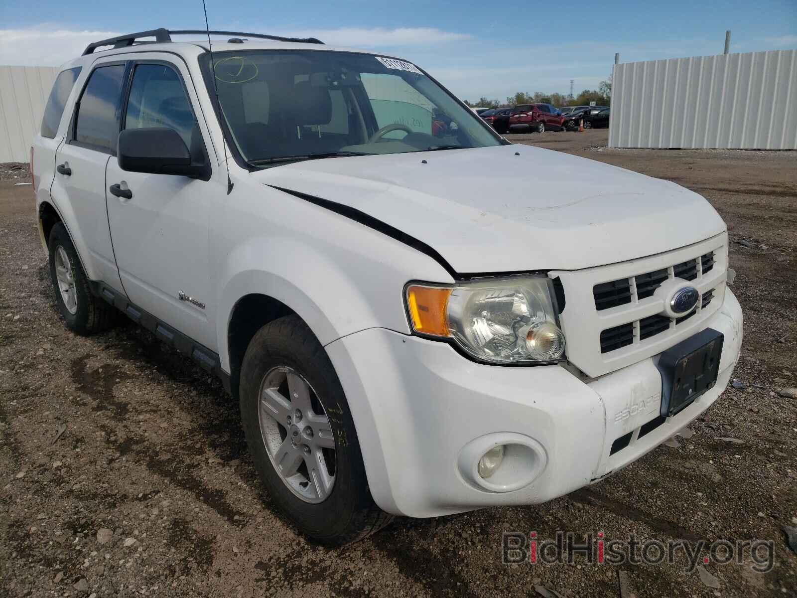 Photo 1FMCU5K39AKA62150 - FORD ESCAPE 2010