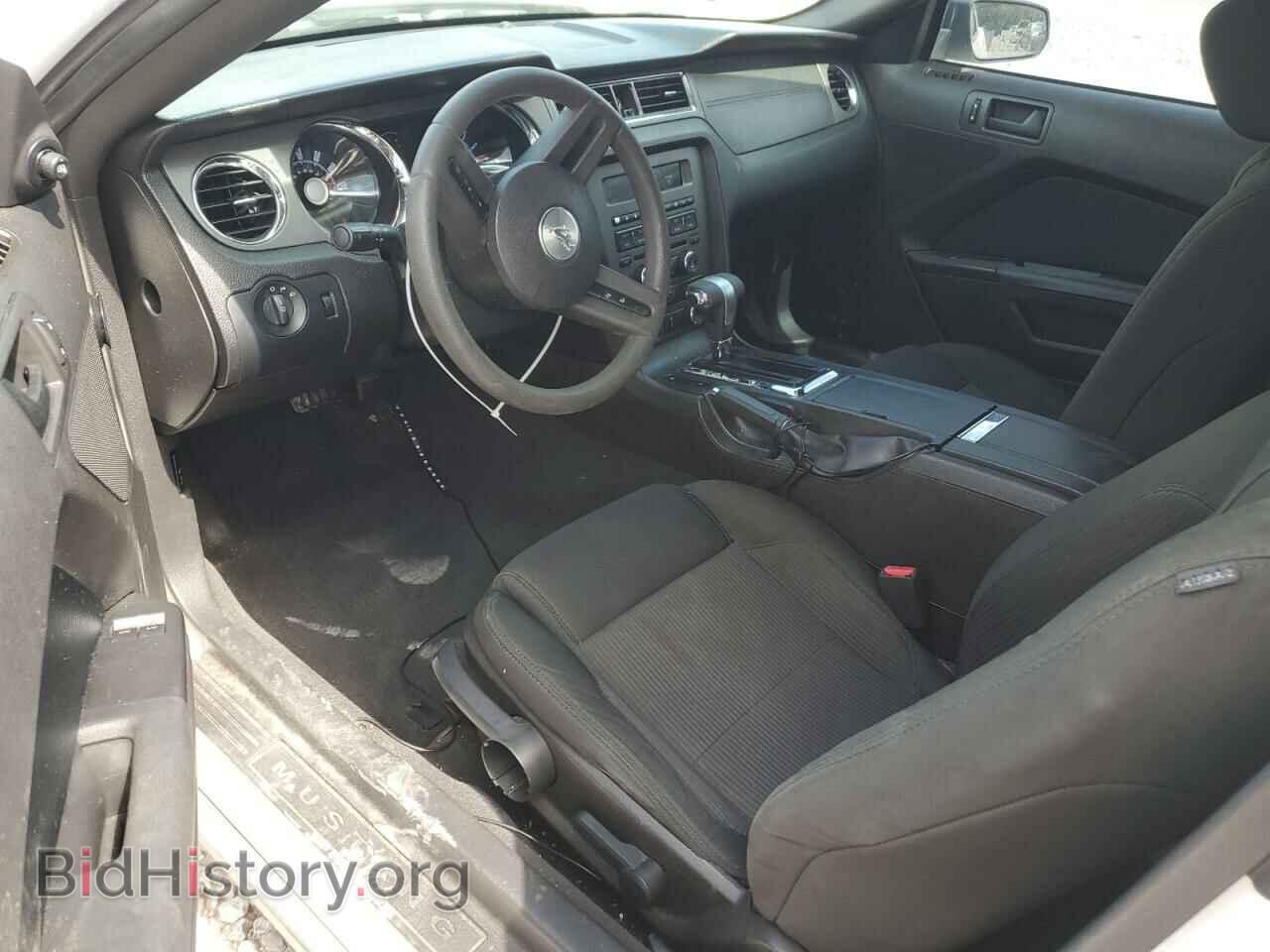2010 FORD ALL Models - VIN: 1ZVBP8AN4A5131933 - Фото 8
