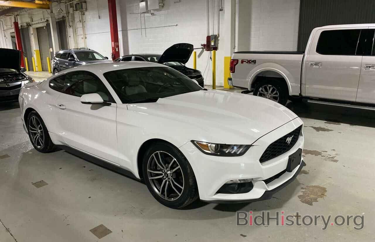 Photo 1FA6P8TH2H5320544 - FORD MUSTANG 2017
