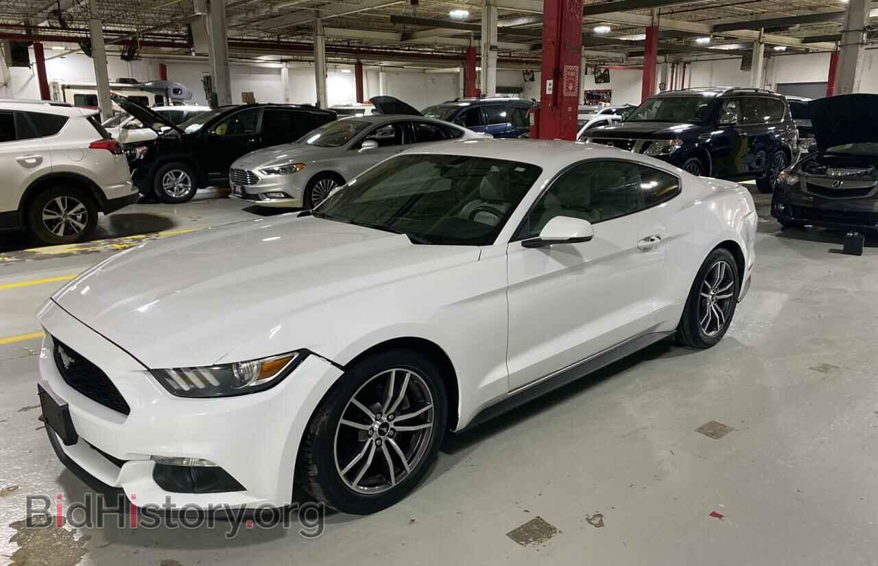 2017 FORD MUSTANG - VIN: 1FA6P8TH2H5320544 - Фото 2