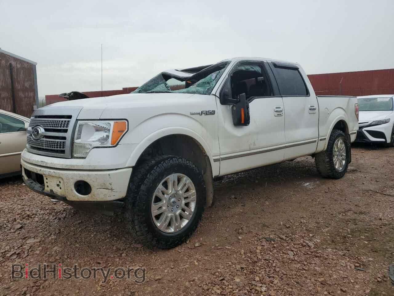Фотография 1FTFW1EF8CFB10405 - FORD F-150 2012