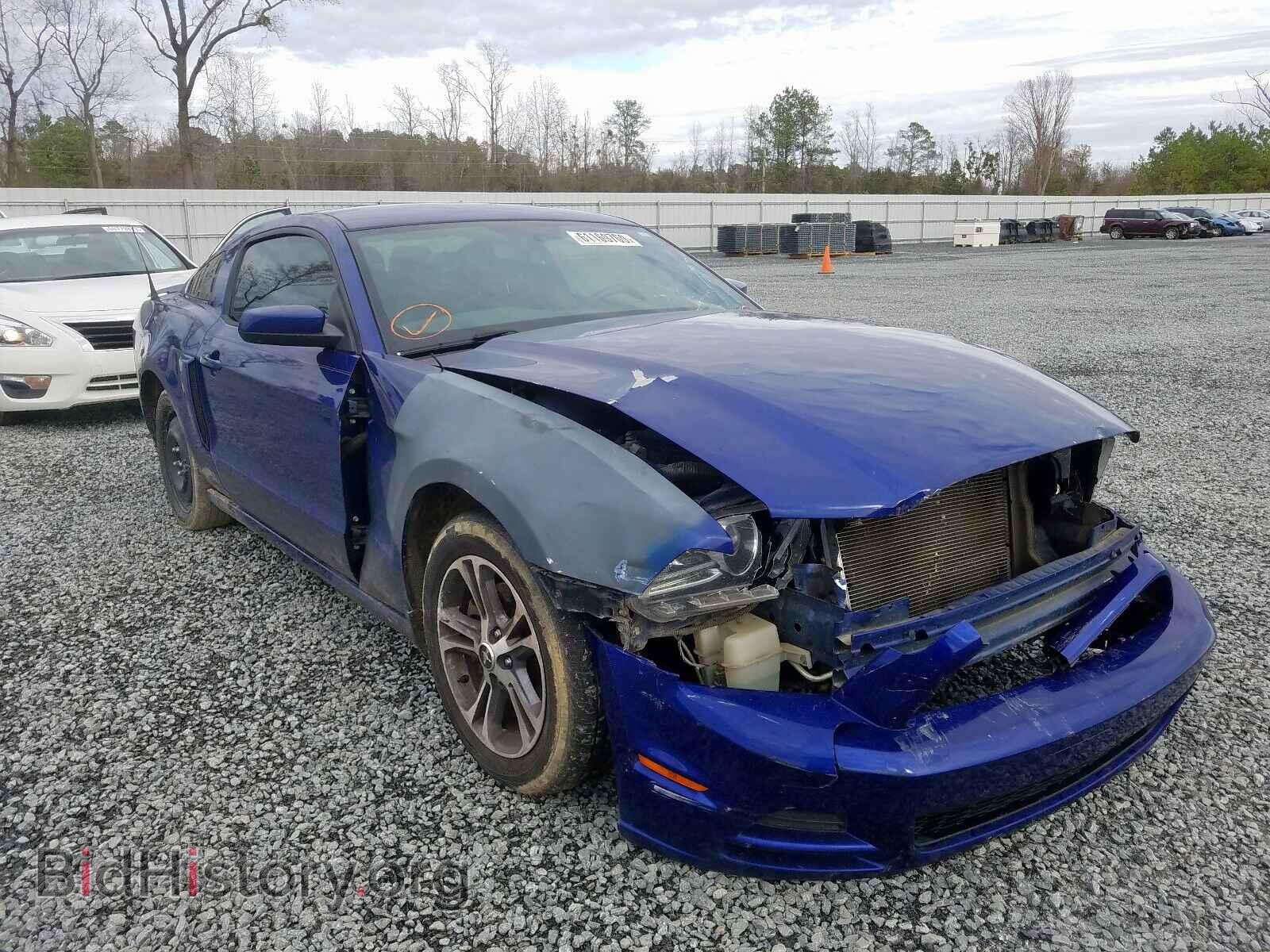 Фотография 1ZVBP8AM8D5273441 - FORD MUSTANG 2013