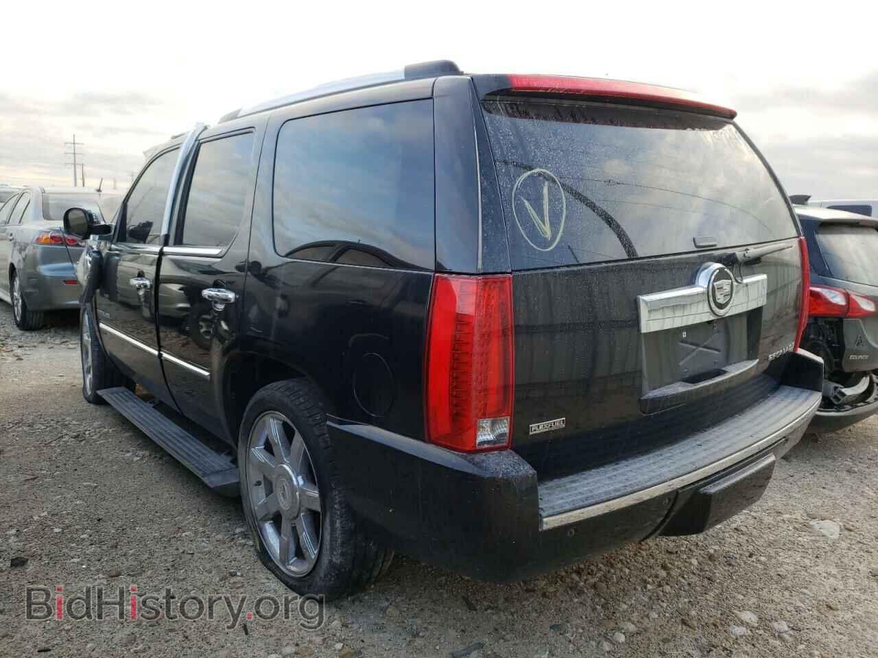 2011 CADILLAC ESCALADE - VIN: 1GYS3CEF2BR377419 - Фото 3