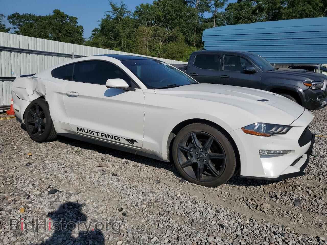 2019 FORD ALL Models - VIN: 1FA6P8TH1K5141449 - Photo 4