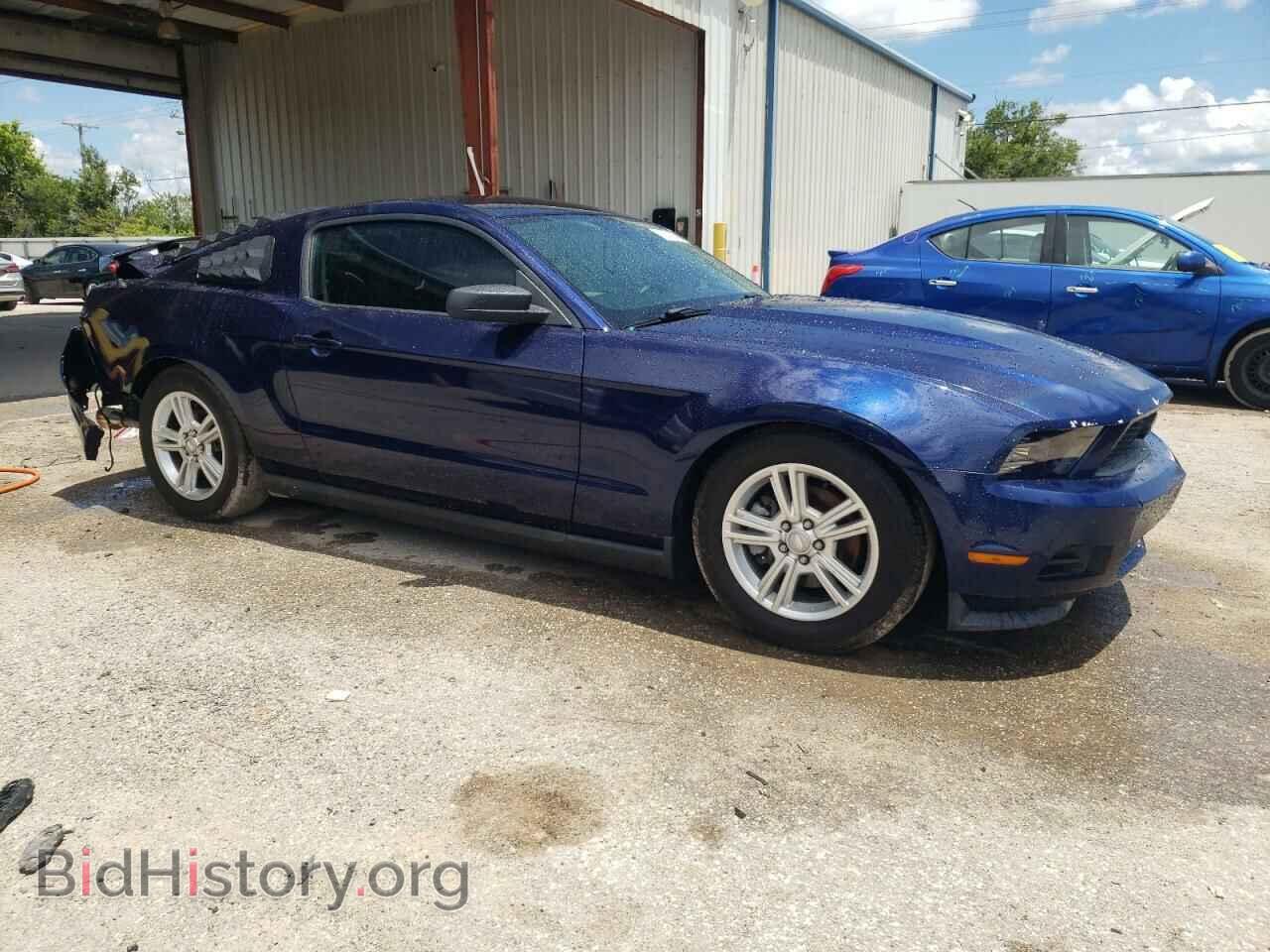 2011 FORD ALL Models - VIN: 1ZVBP8AMXB5106656 - Фото 4