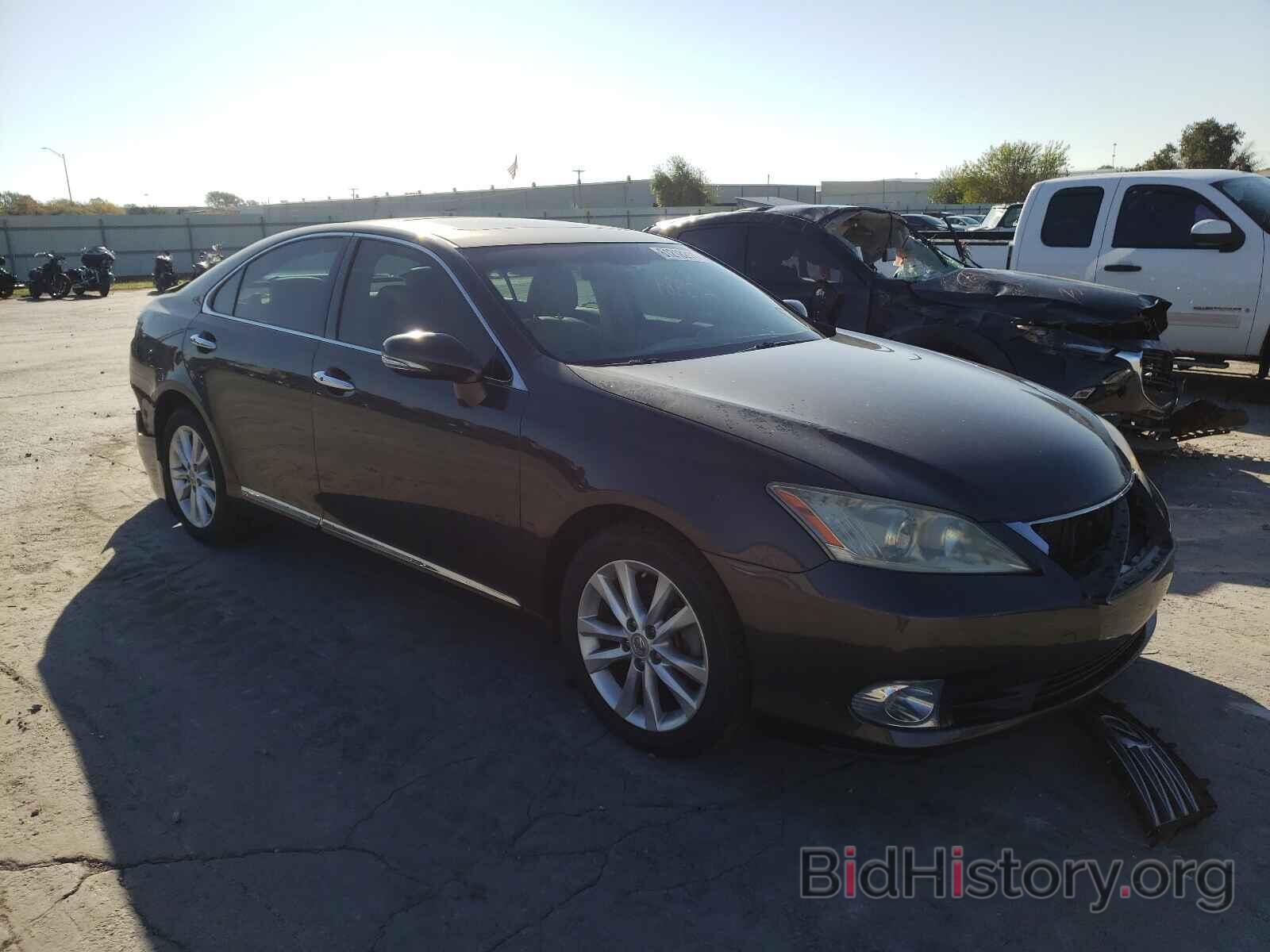 Photo JTHBK1EG6A2376687 - LEXUS ES350 2010