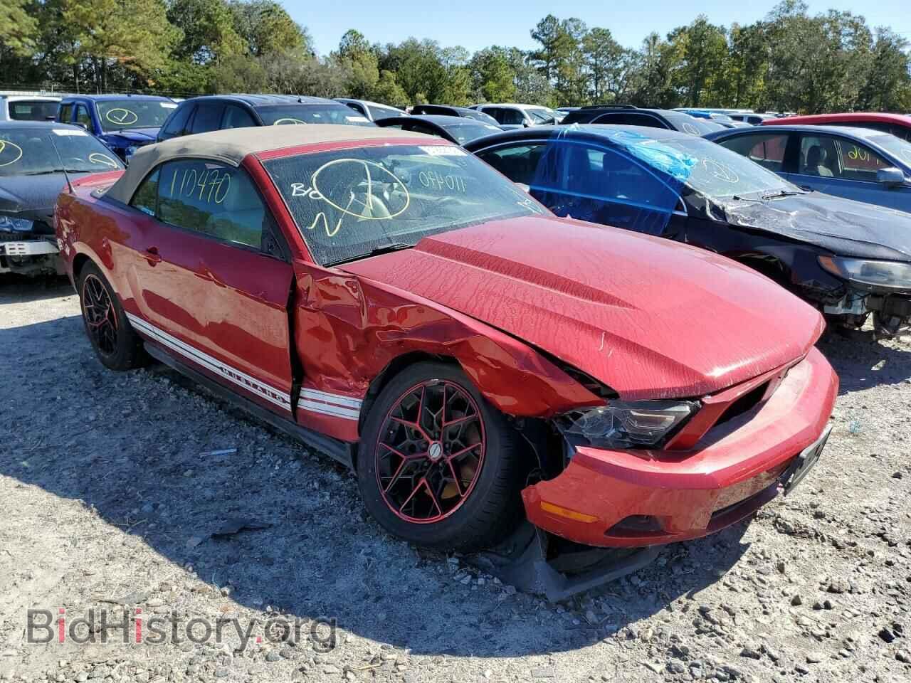 Фотография 1ZVBP8EM7B5120041 - FORD MUSTANG 2011