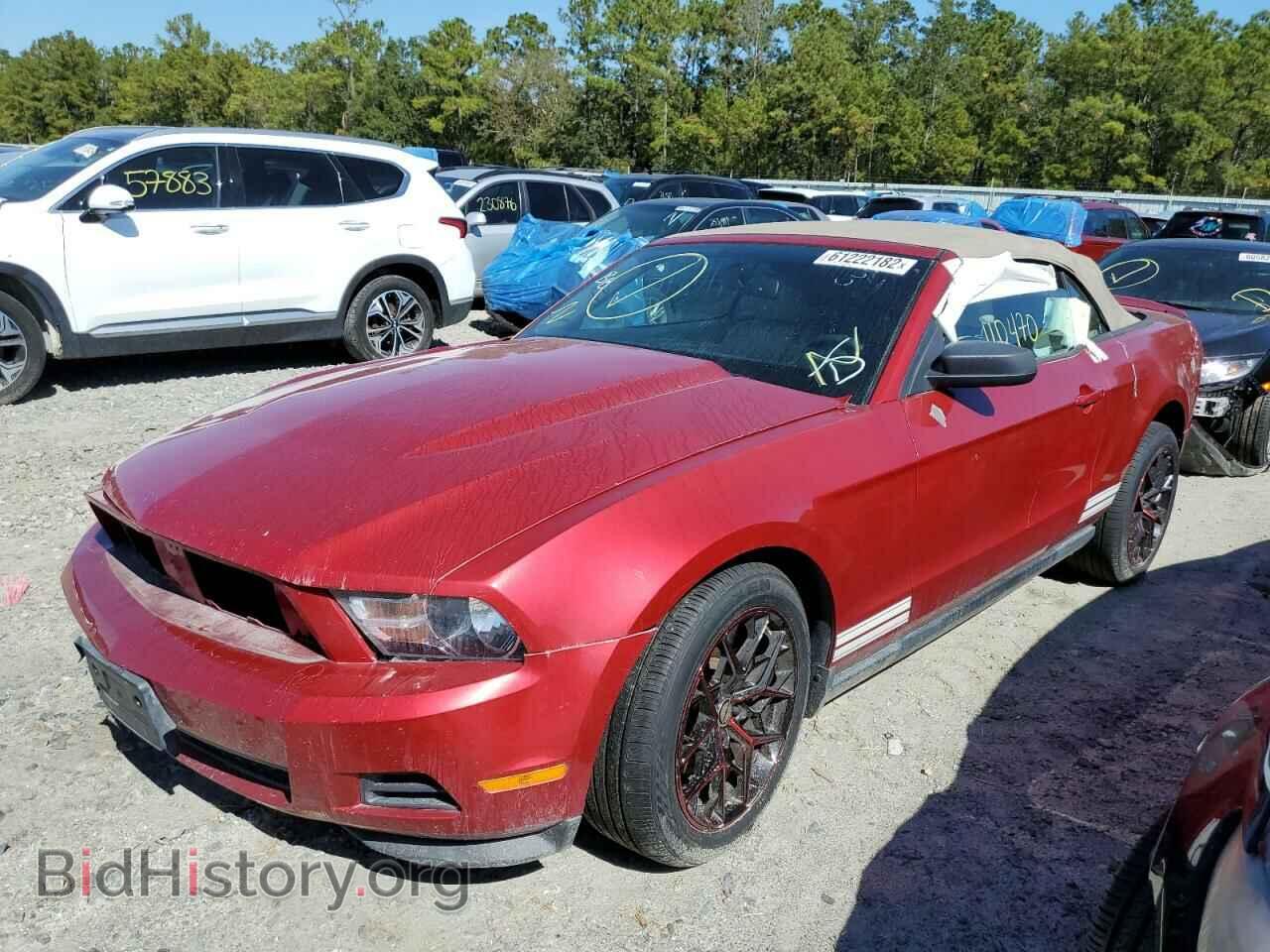 2011 FORD MUSTANG - VIN: 1ZVBP8EM7B5120041 - Фото 2