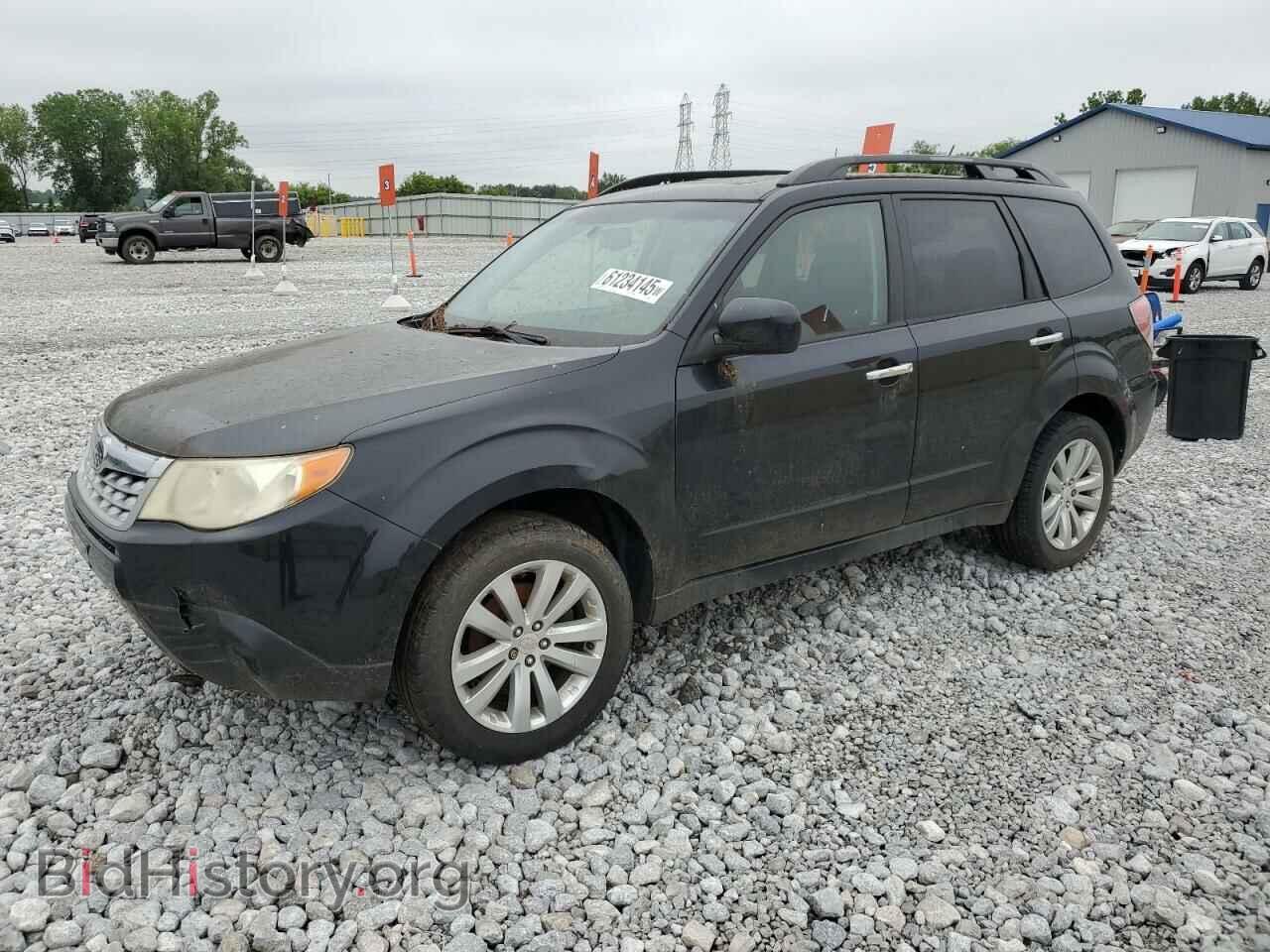 Photo JF2SHBDC8BH706687 - SUBARU FORESTER 2011