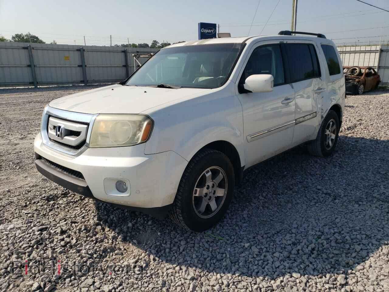 Photo 5FNYF3H96BB029447 - HONDA PILOT 2011