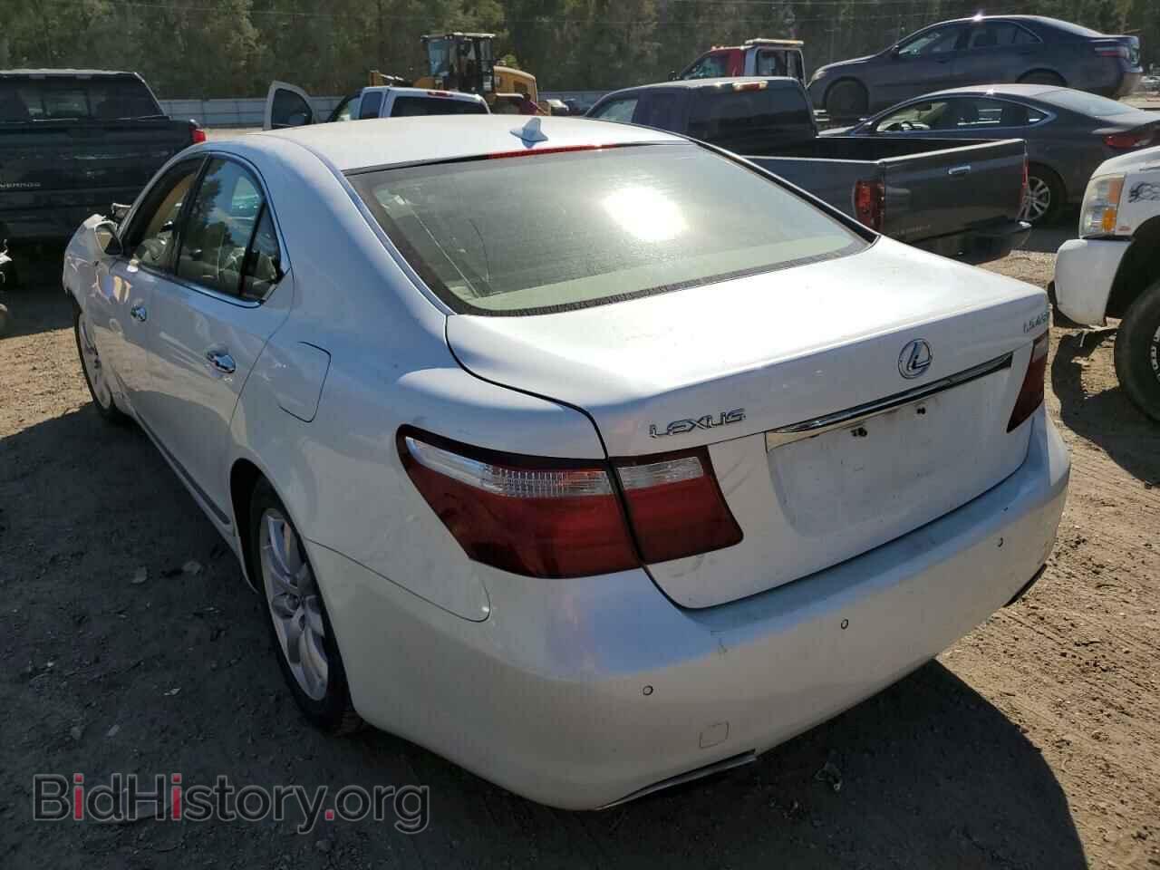 2009 LEXUS LS460 - VIN: JTHBL46F795086229 - Фото 3