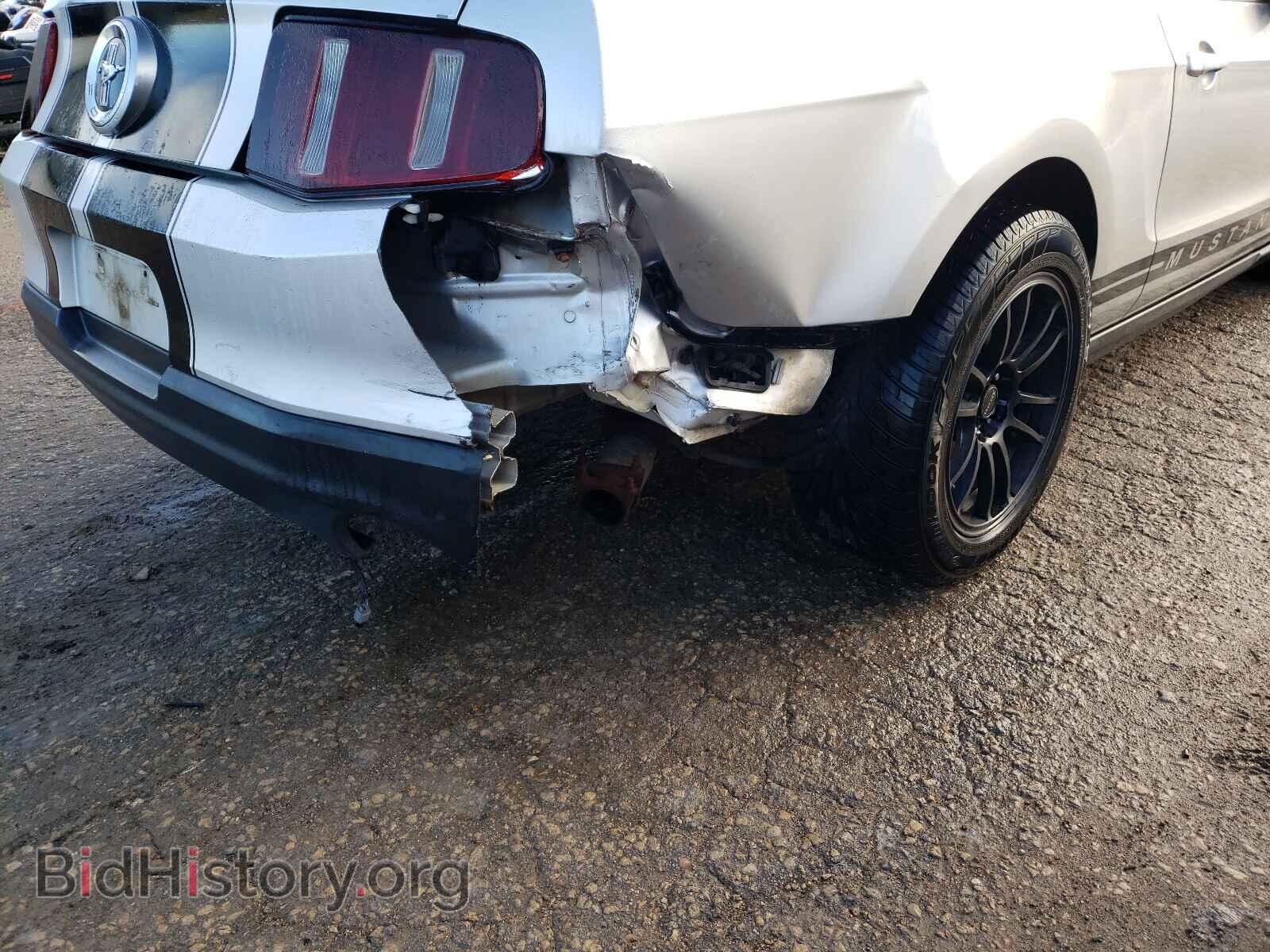2011 FORD MUSTANG - VIN: 1ZVBP8AM6B5166367 - Фото 9