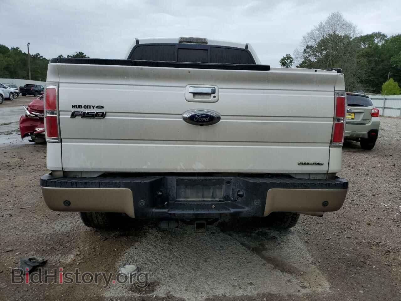 2011 FORD F-150 - VIN: 1FTFW1EF5BFA76499 - Фото 6