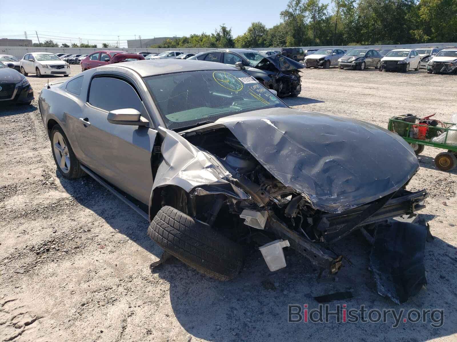 Photo 1ZVBP8CH1A5132450 - FORD MUSTANG 2010