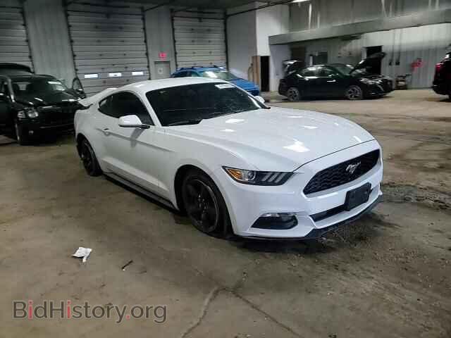 2015 FORD ALL Models - VIN: 1FA6P8AM3F5313700 - Photo 14