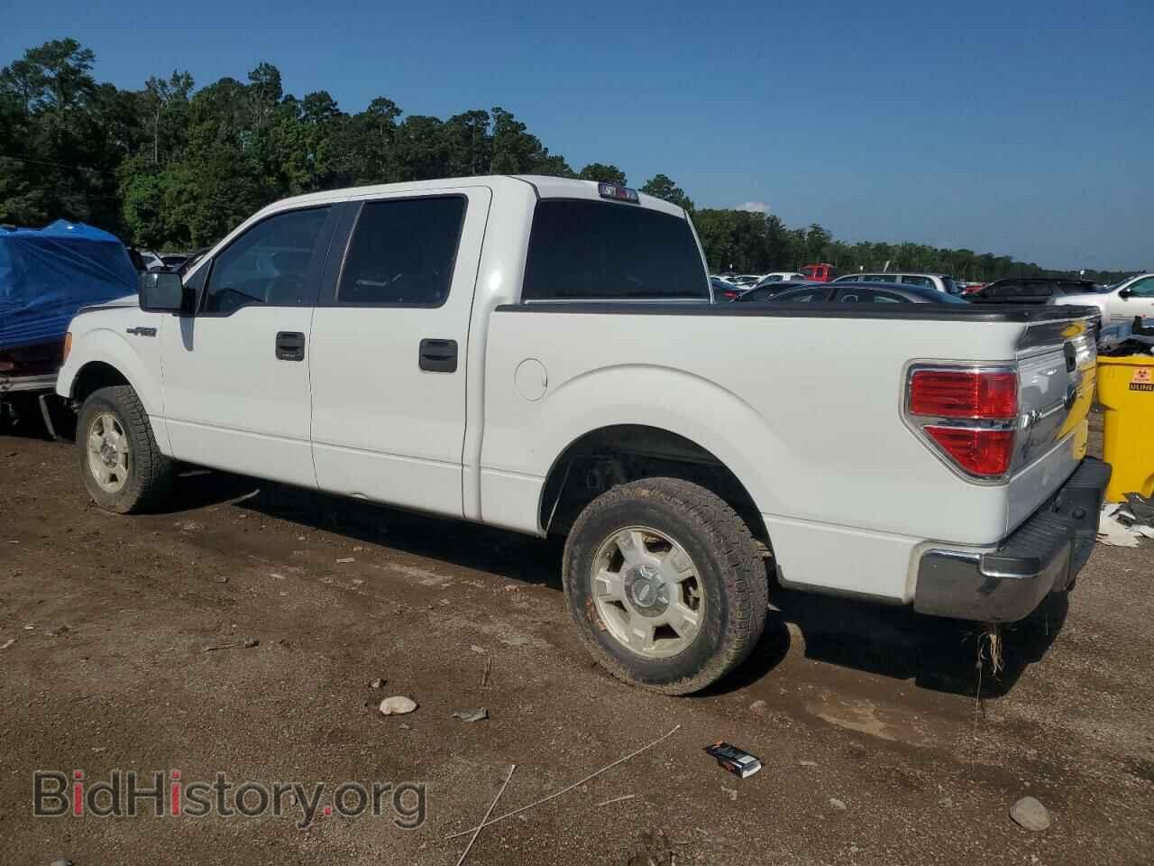 2013 FORD F-150 - VIN: 1FTFW1CF3DFA68682 - Фото 2