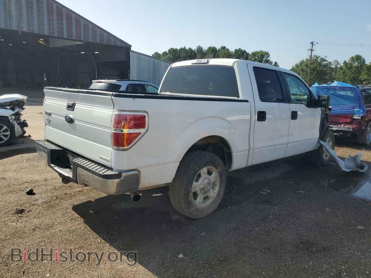 2013 FORD F-150 - VIN: 1FTFW1CF3DFA68682 - Фото 3