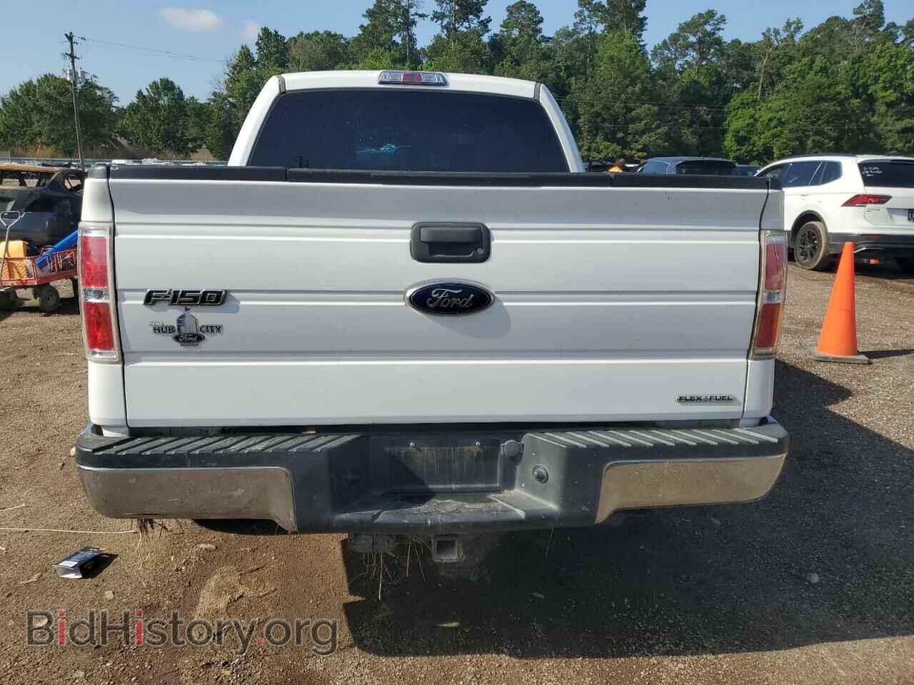 2013 FORD F-150 - VIN: 1FTFW1CF3DFA68682 - Фото 6