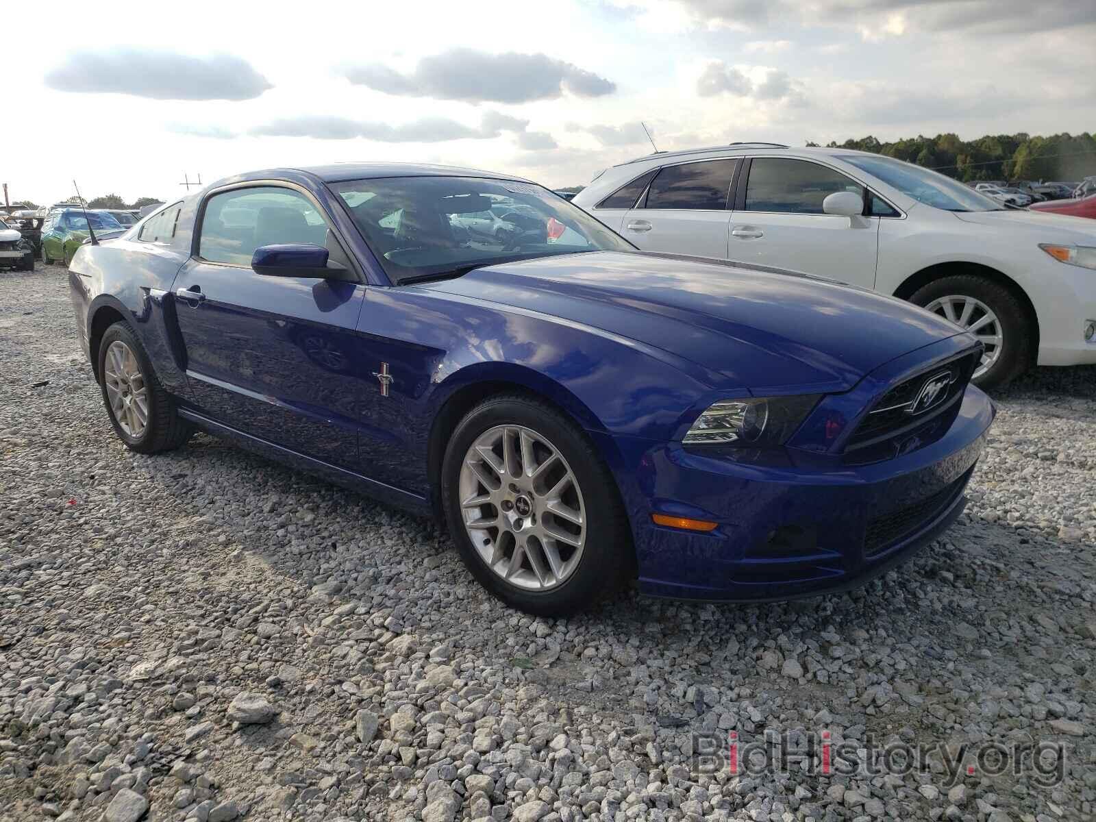 Photo 1ZVBP8AM9E5237114 - FORD MUSTANG 2014