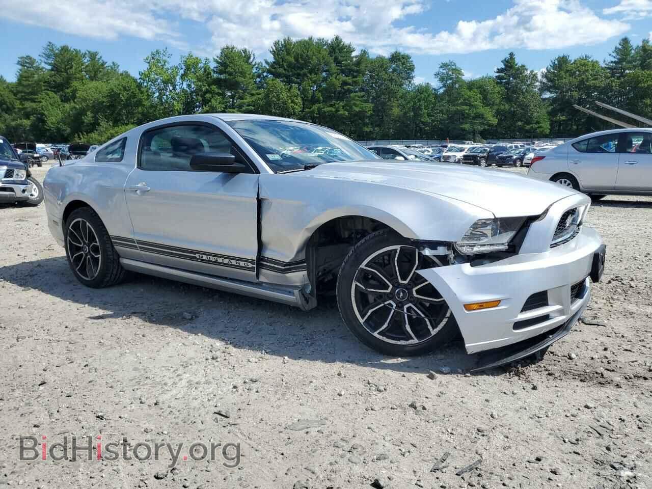 2013 FORD ALL Models - VIN: 1ZVBP8AM5D5240137 - Фото 4
