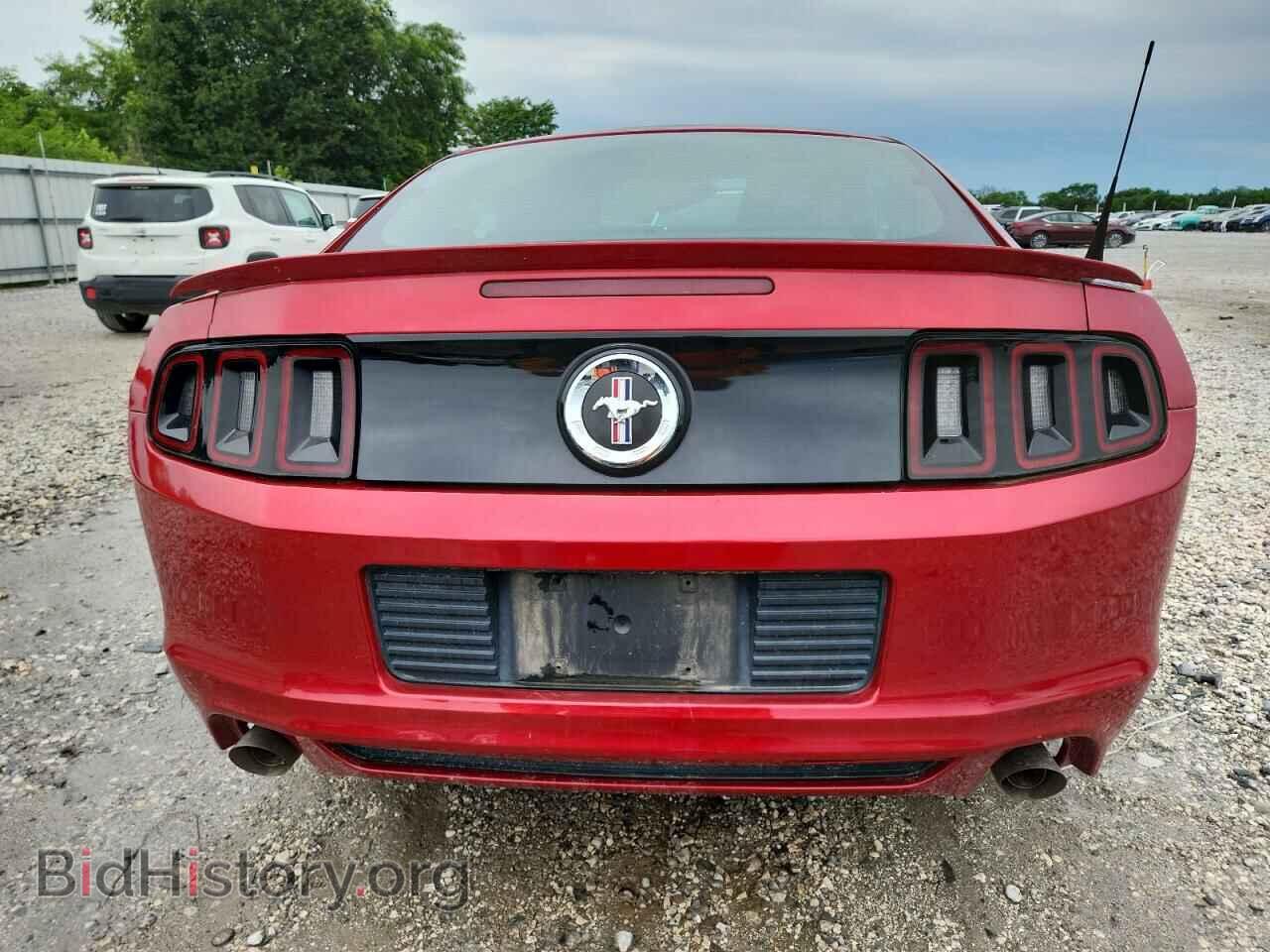 2013 FORD ALL Models - VIN: 1ZVBP8AM2D5267439 - Photo 6
