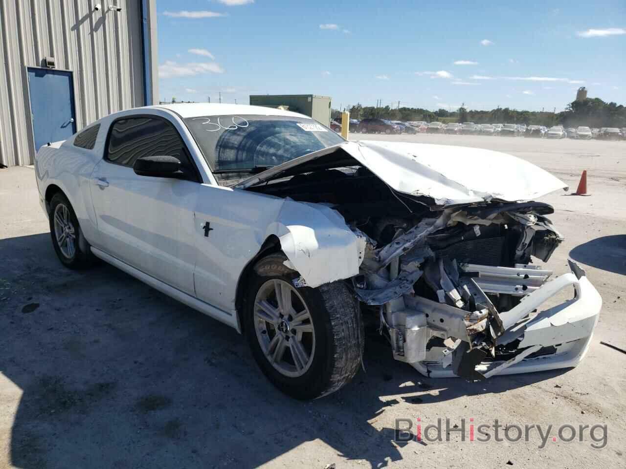 Photo 1ZVBP8AM2E5217108 - FORD MUSTANG 2014