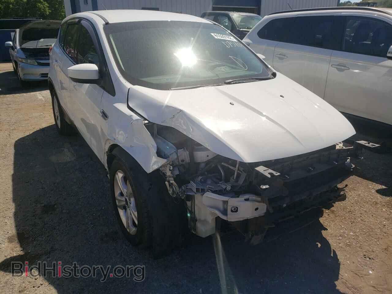 Фотография 1FMCU0GX2DUD75709 - FORD ESCAPE 2013