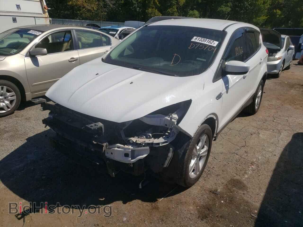2013 FORD ESCAPE - VIN: 1FMCU0GX2DUD75709 - Фото 2