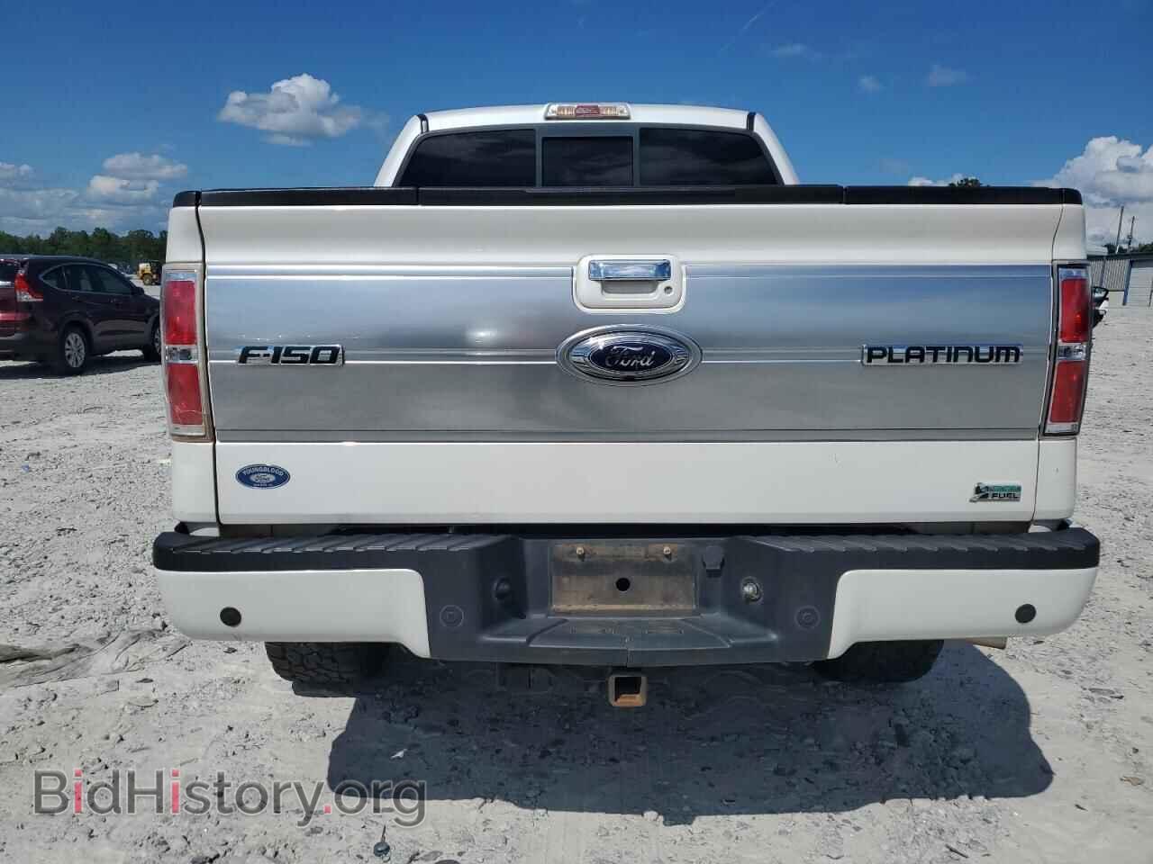 2010 FORD F-150 - VIN: 1FTFW1EV3AFA39442 - Фото 6