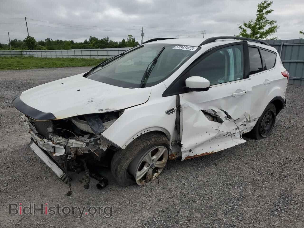 Photo 1FMCU0G96EUC61831 - FORD ESCAPE 2014